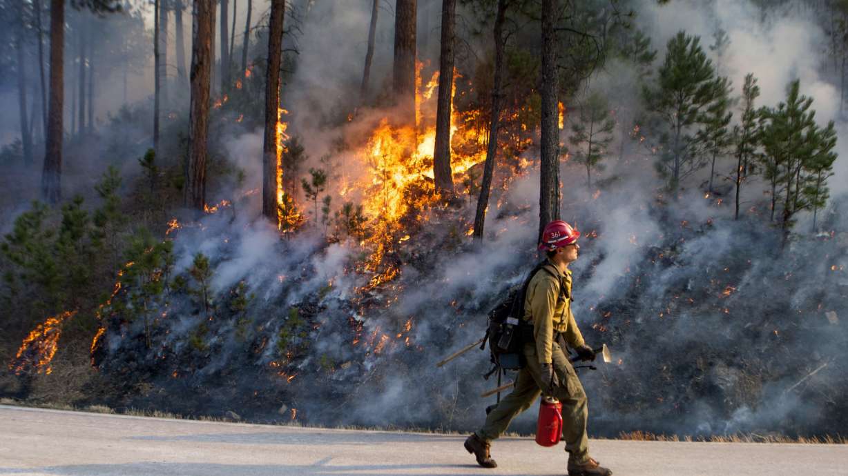 The Latest: Custer park fire likely fully contained soon