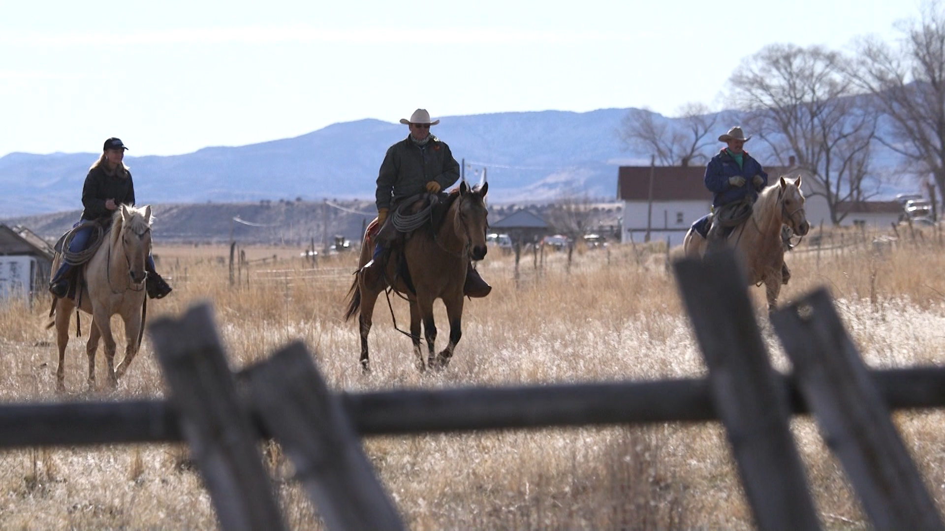 Cattleman Jay Tanner, whose family has herded cattle in northwestern Utah for nearly 150 years, is taking part in a $1.5 million deal aimed at helping the sage grouse — as well as cattle ranching — survive far into the future. (Photo: Alan Luchetti, KSL TV)