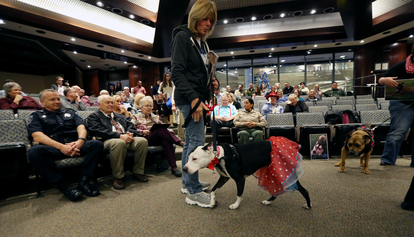 Tail to the chief: Newest county mayor shows paw-tential