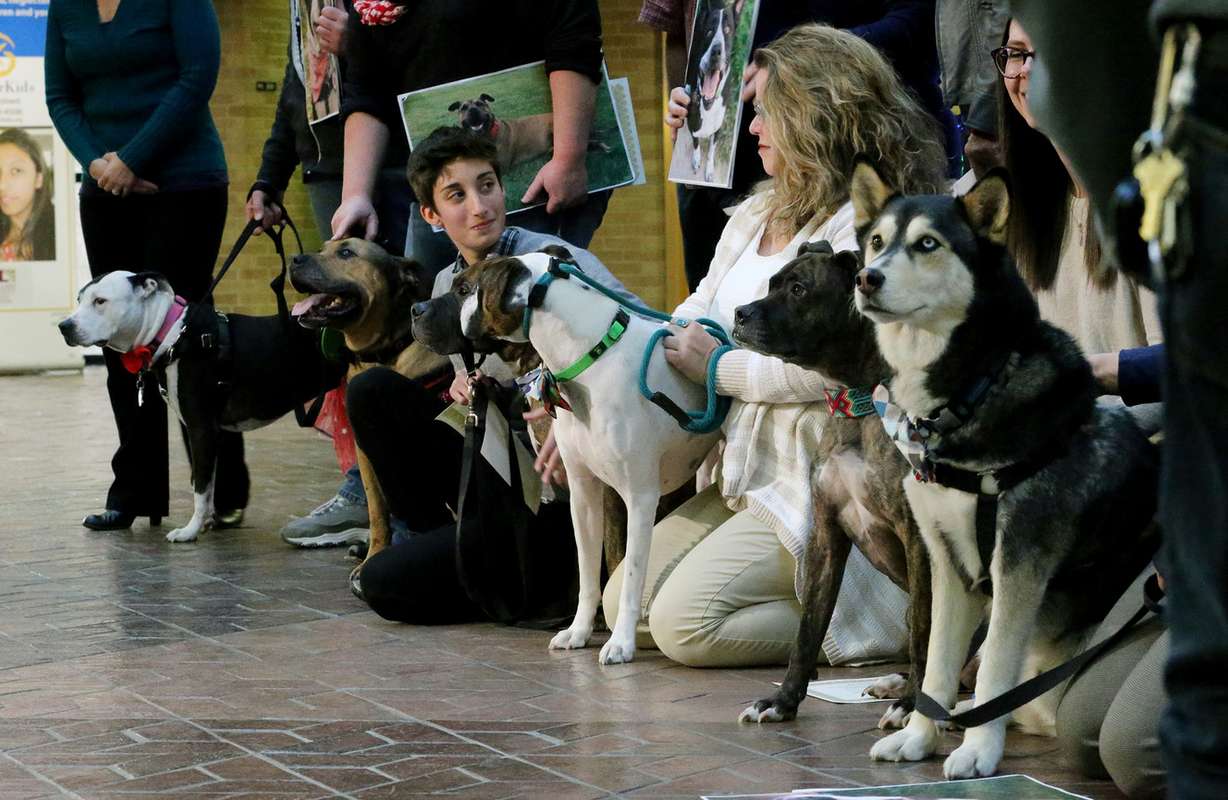 Photo: Scott G Winterton, KSL