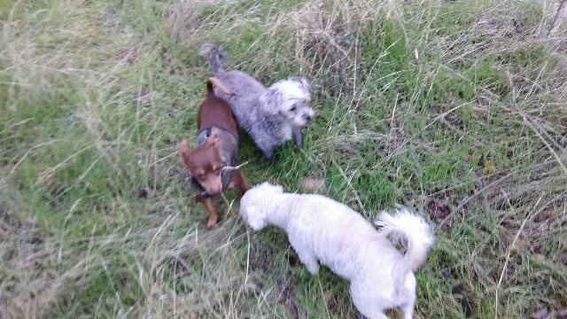 Photo: Emery County Sheriff's Office