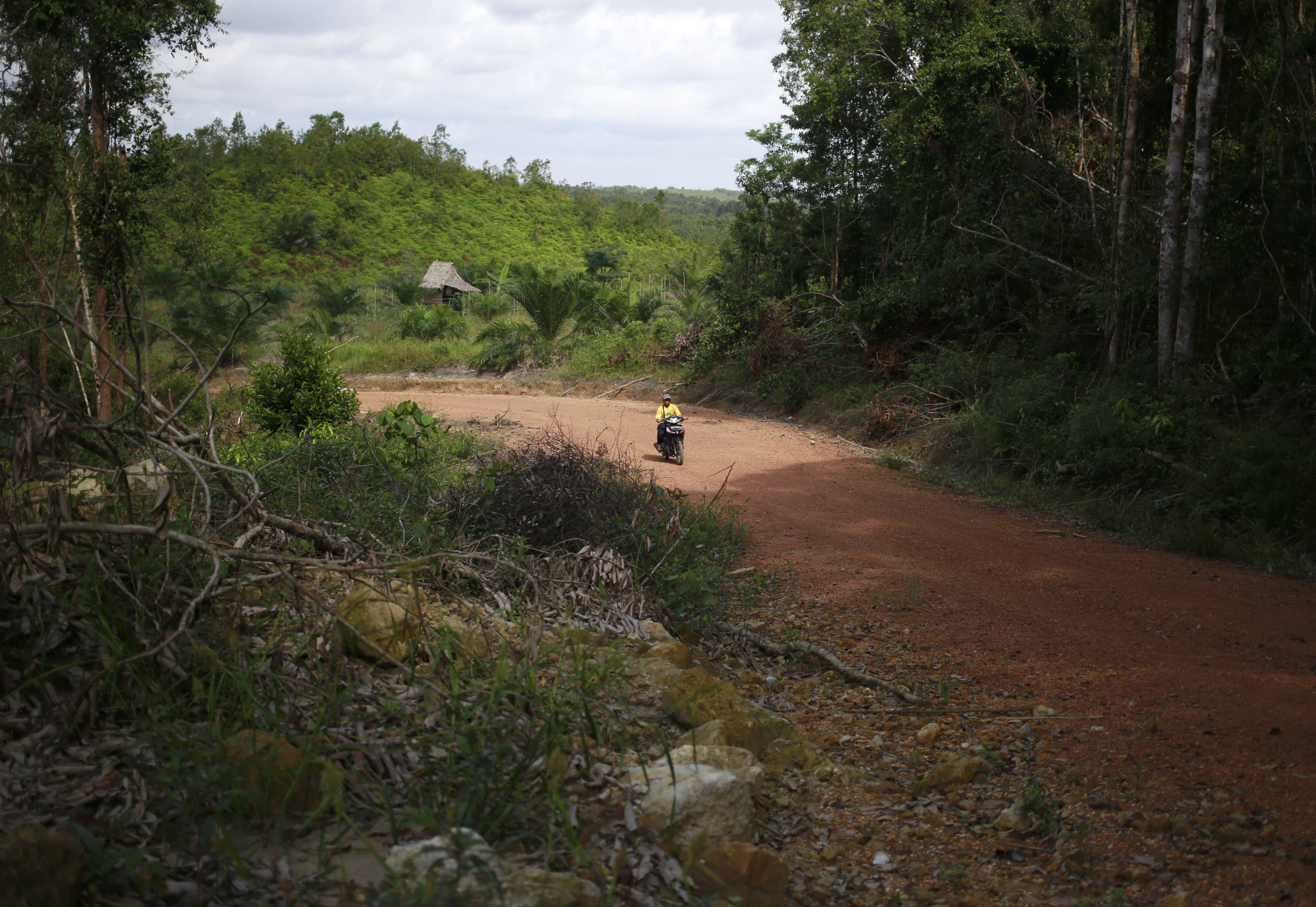 Pulp giant stirs new conflicts with Indonesian villagers