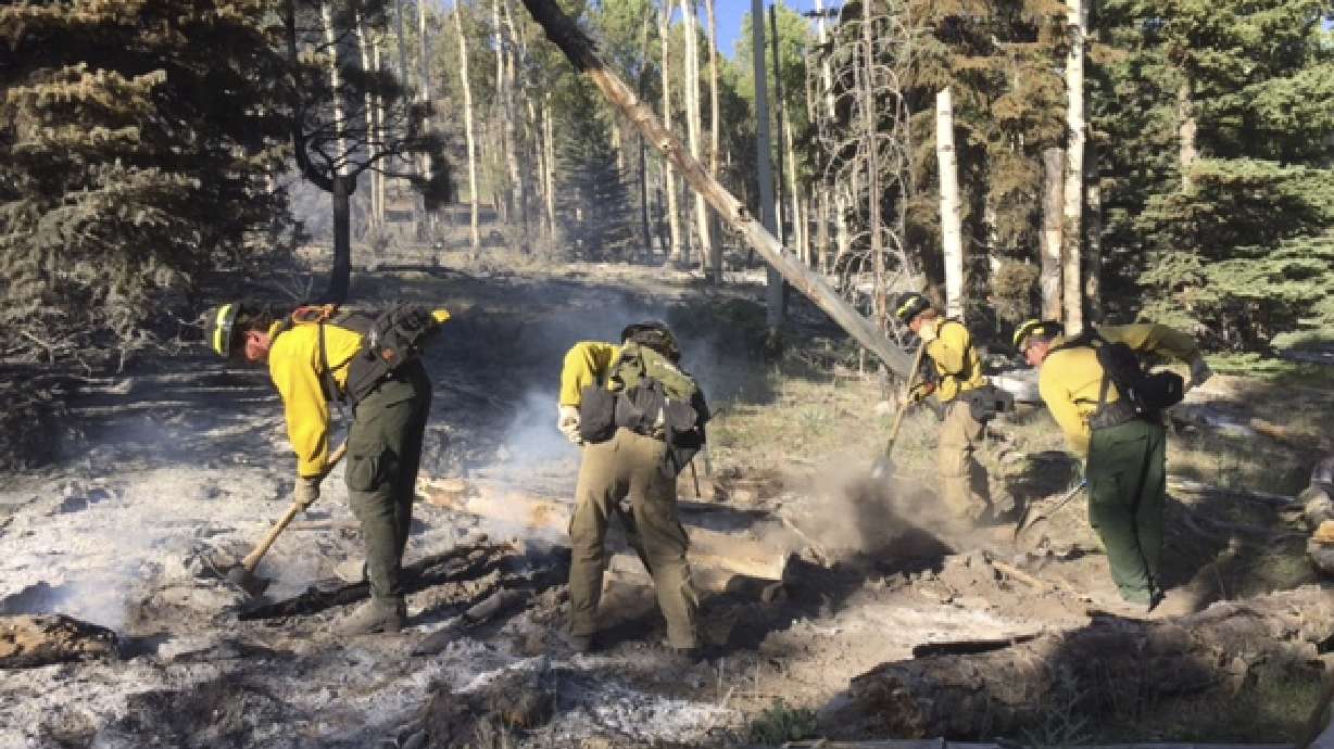 Insurance firms dispatch private firefighters in California