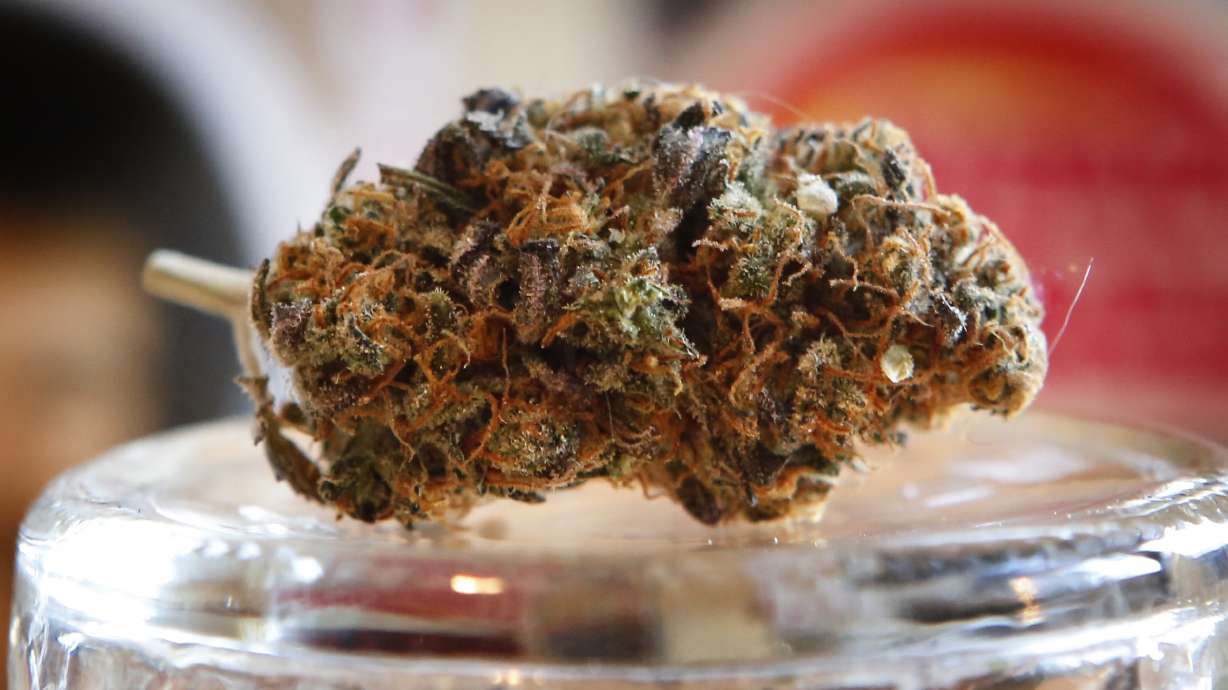 Joy to the weed! Marijuana legalization comes bearing gifts