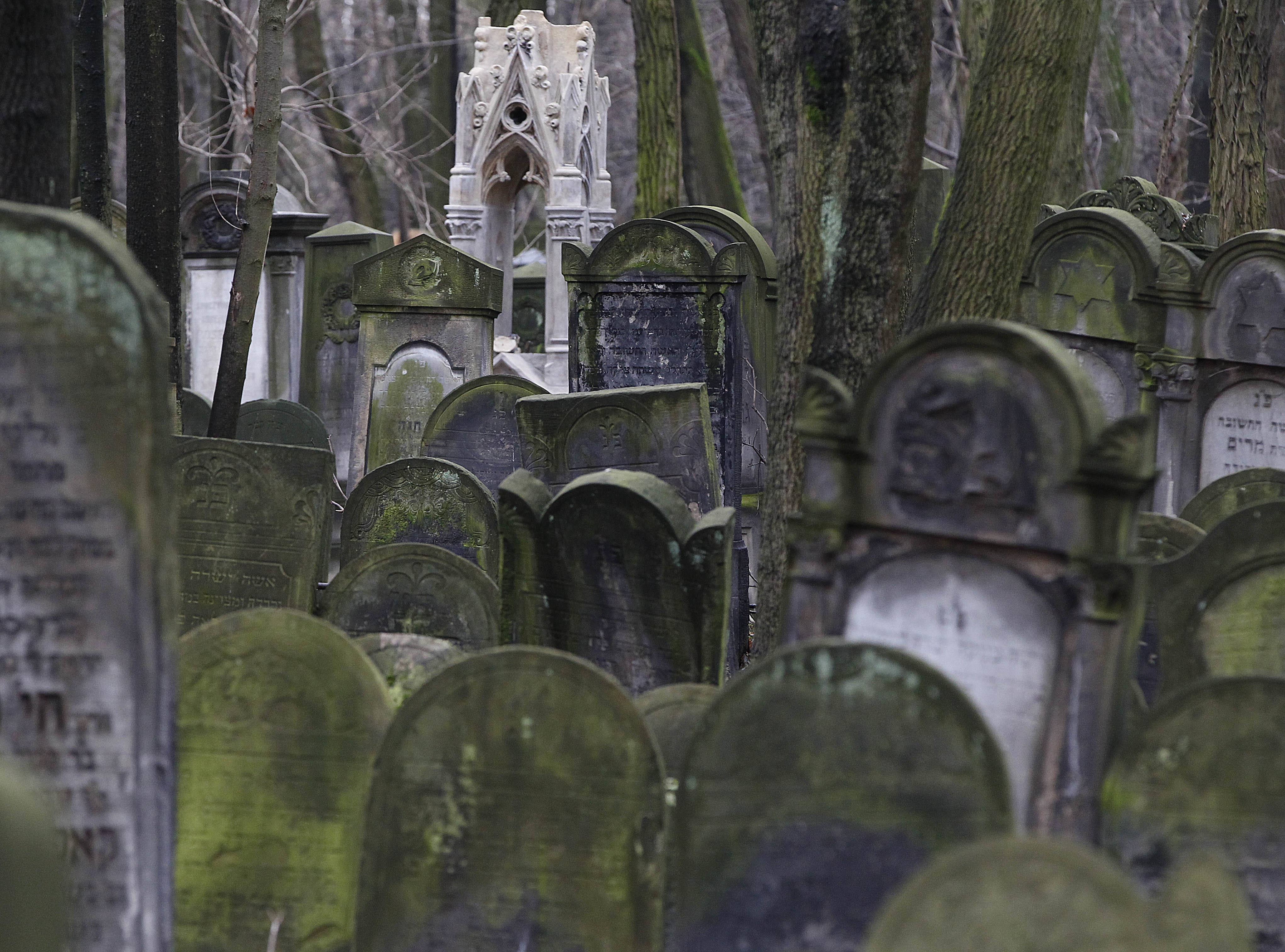 Poland donates large sum to preserve Warsaw Jewish cemetery