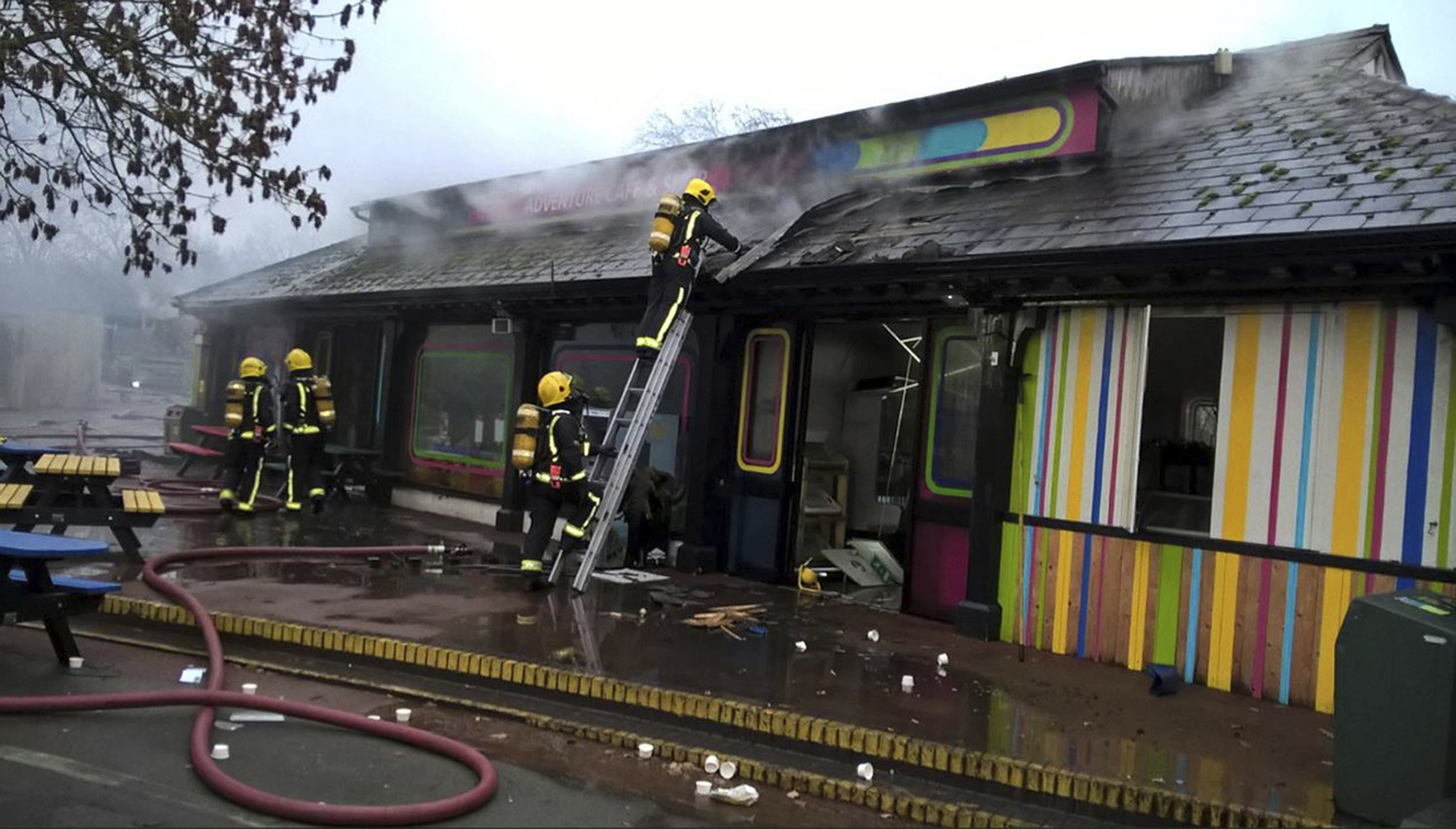London Zoo reopens after fire that killed meerkats, aardvark
