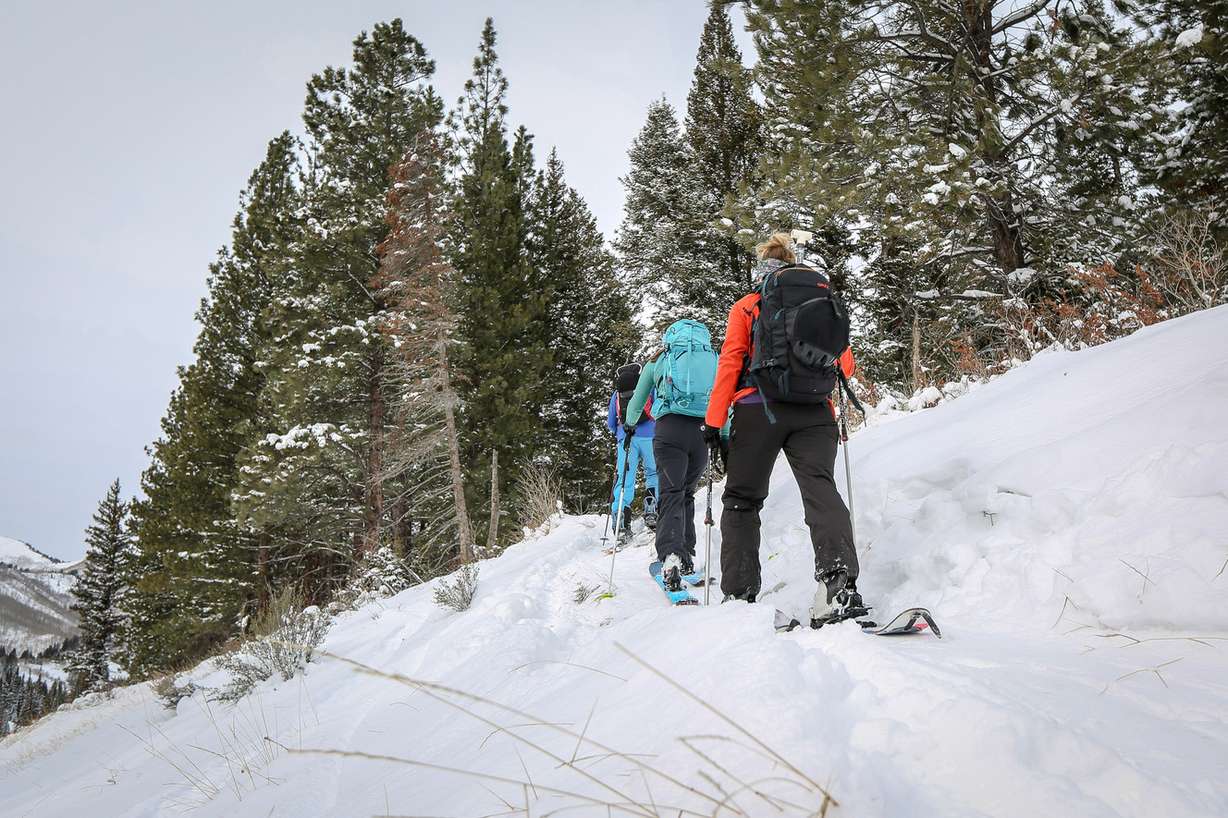 Curtis Olsen, Kassie Olson and Carolyn Sander ski up near Mill D North Fork in Big Cottonwood Canyon in Salt Lake on Sunday, Dec. 24, 2017. (Photo: Adam Fondren, KSL)