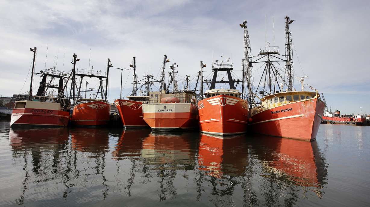 Winds of worry: US fishermen fear forests of power turbines