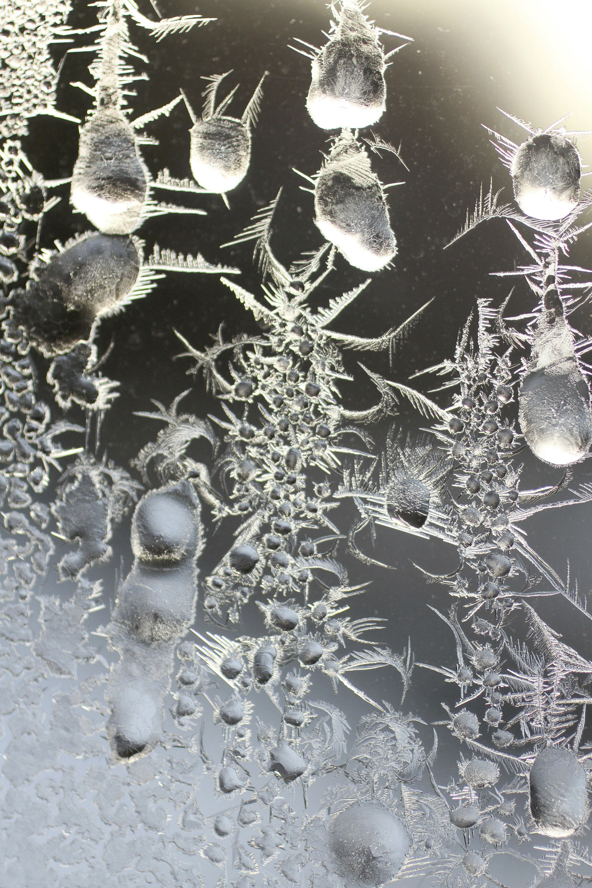 Bitter cold expected until New Year in US Midwest, Northeast