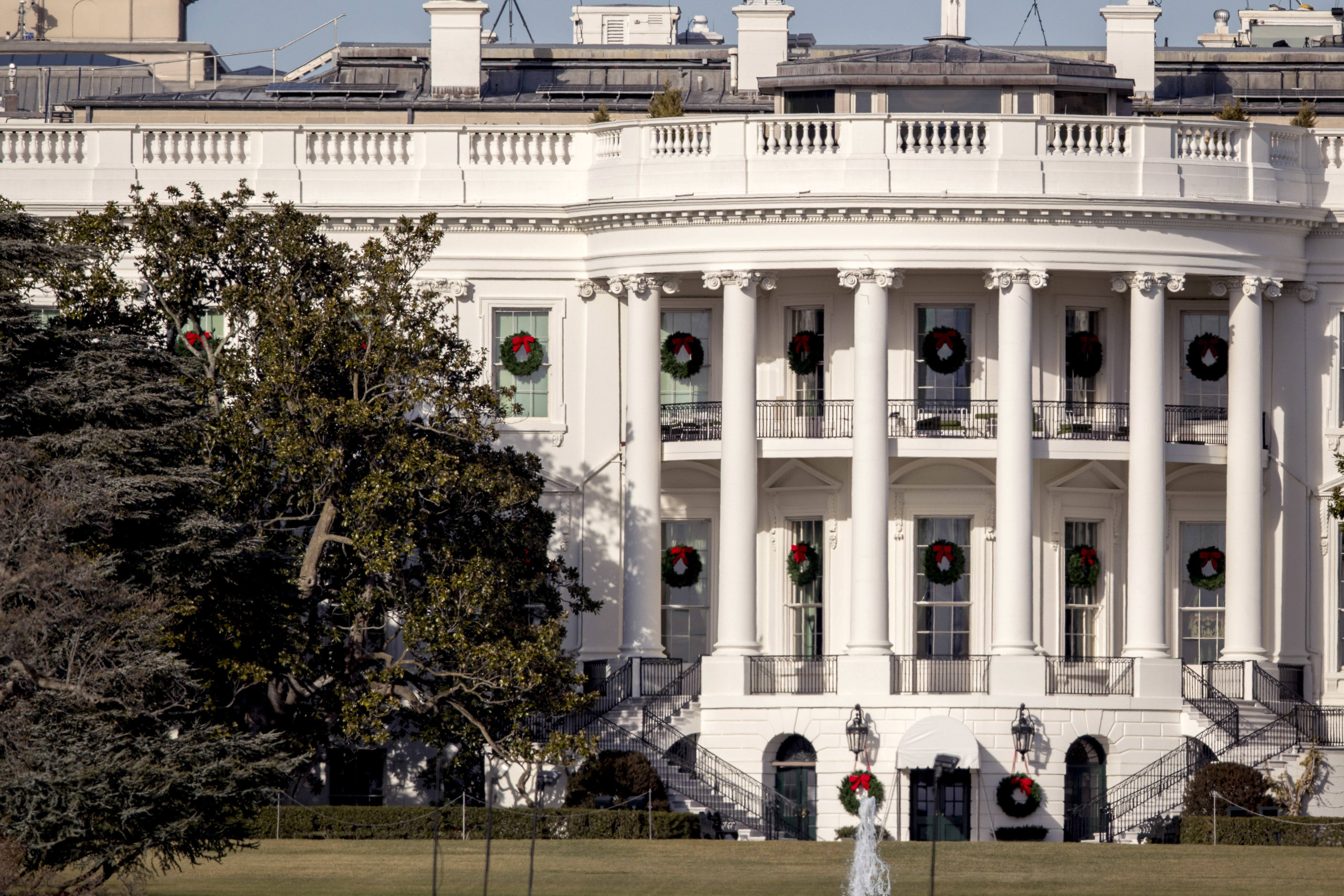 Historic White House magnolia cut back for safety reasons