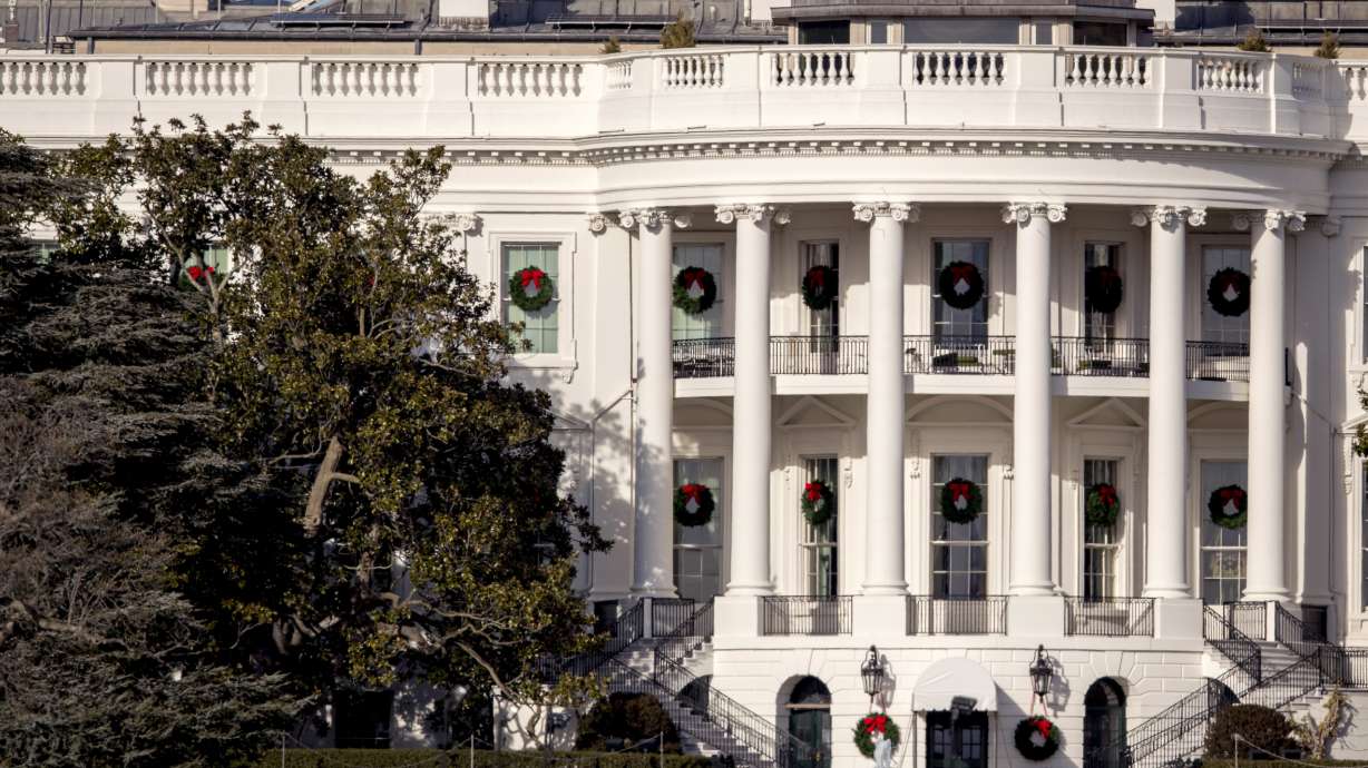 Historic White House magnolia cut back for safety reasons