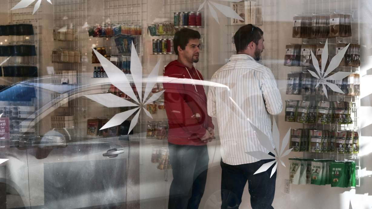 Revenue hit predicted for California's medical pot market