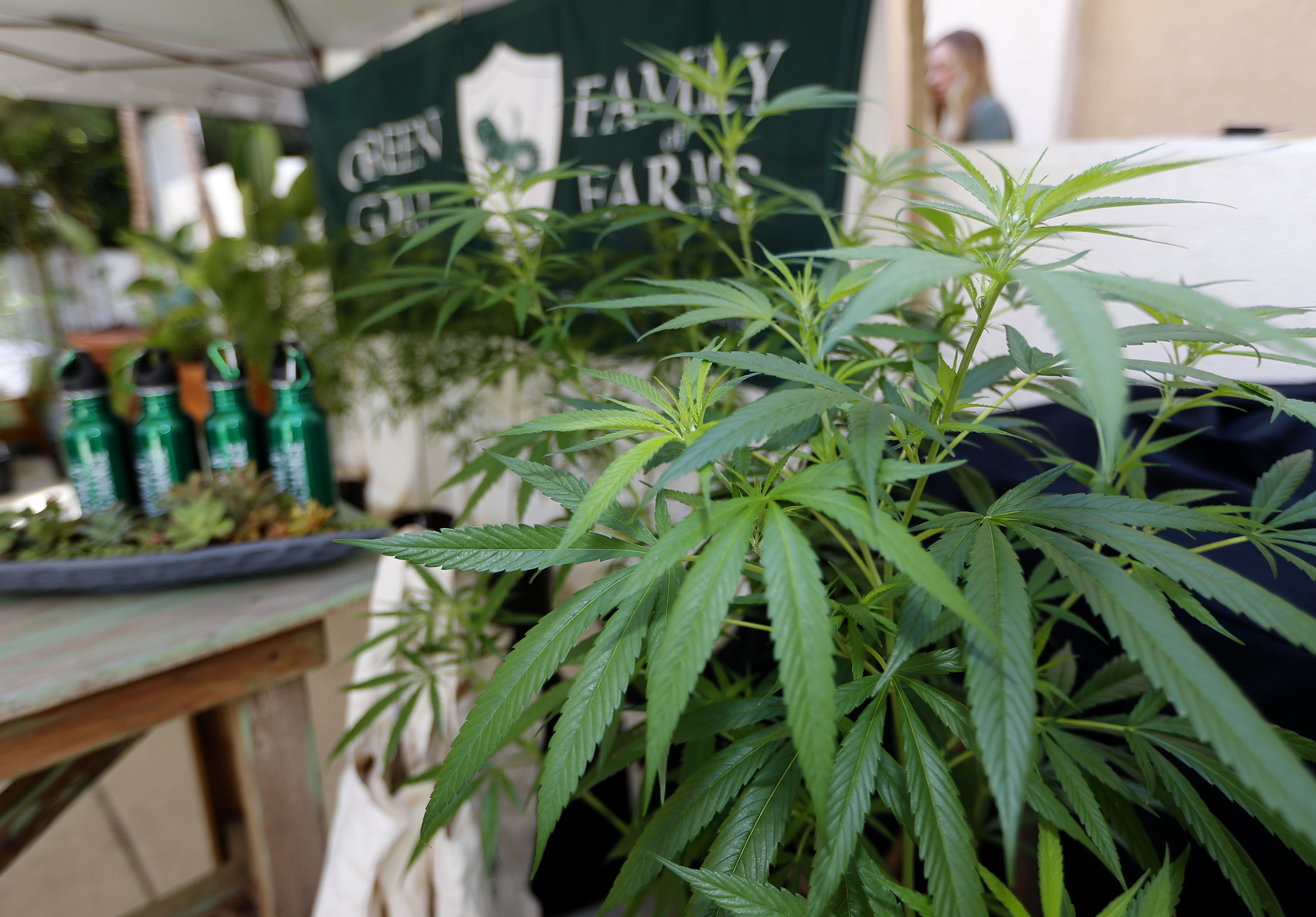 Legal recreational pot in California: What you need to know