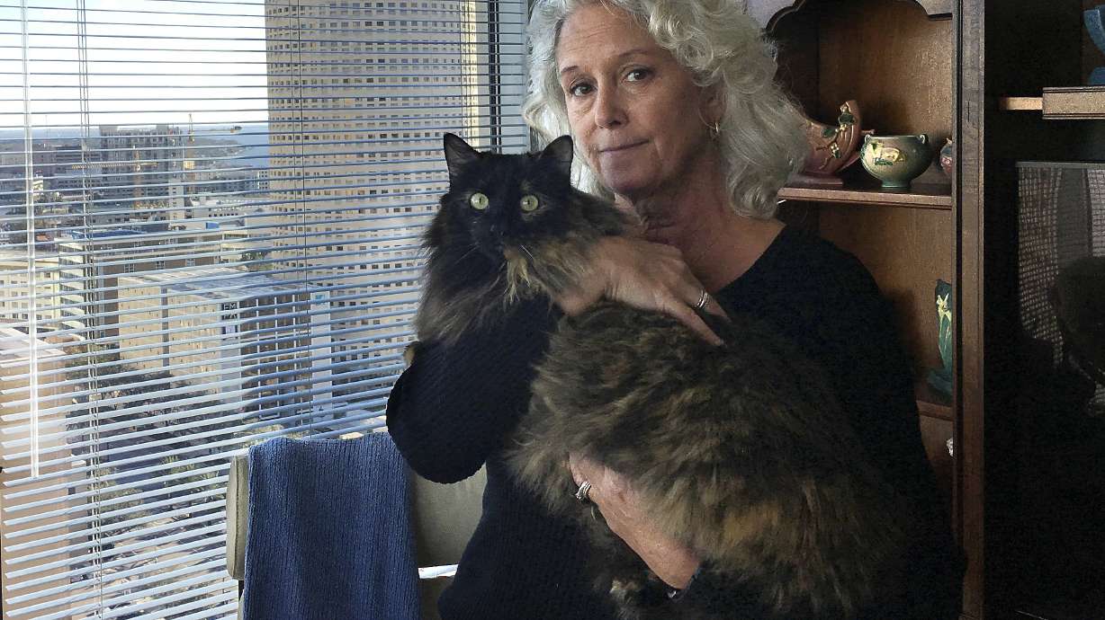 Man alleges bobcat attack; condo owner says it was housecat