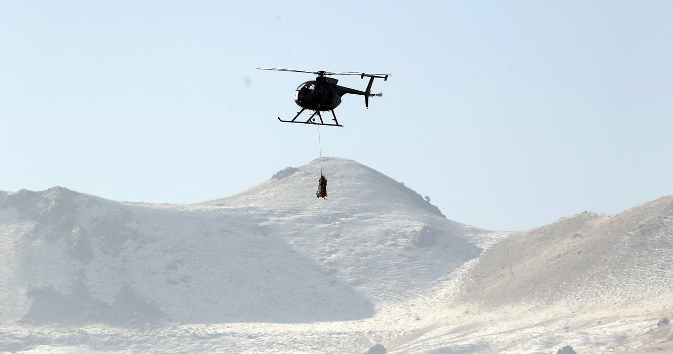 Bighorn sheep fly through the air on Utah's Antelope Island