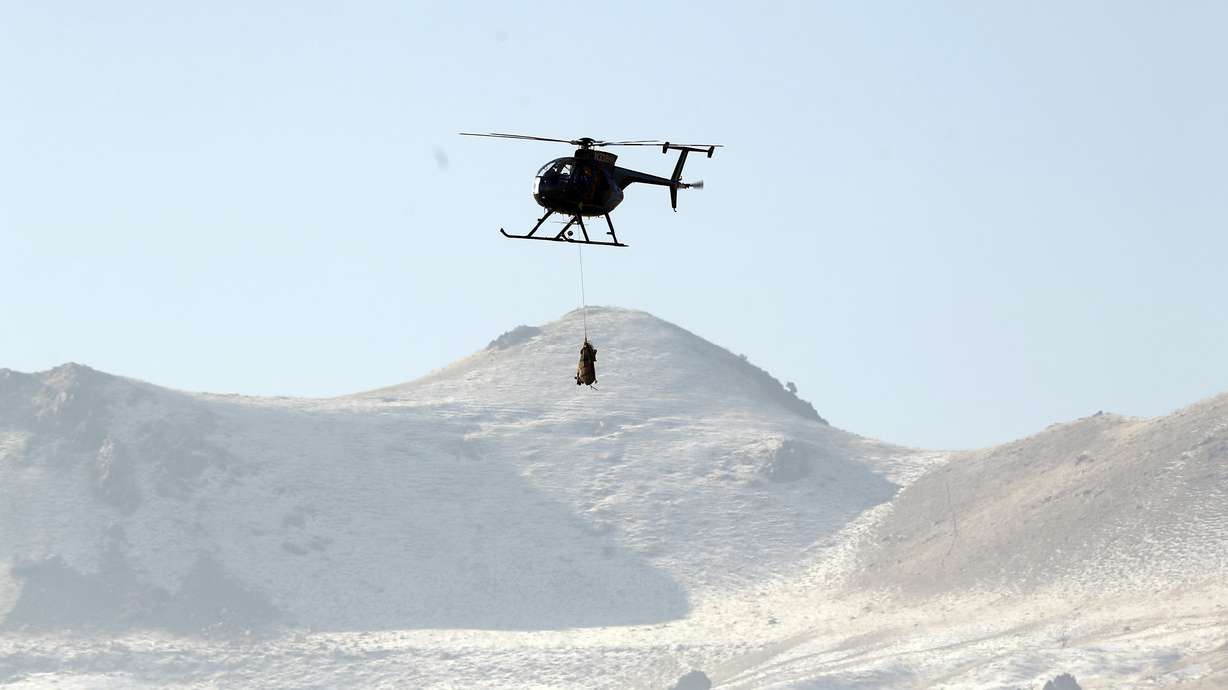 Bighorn sheep fly through the air on Utah's Antelope Island