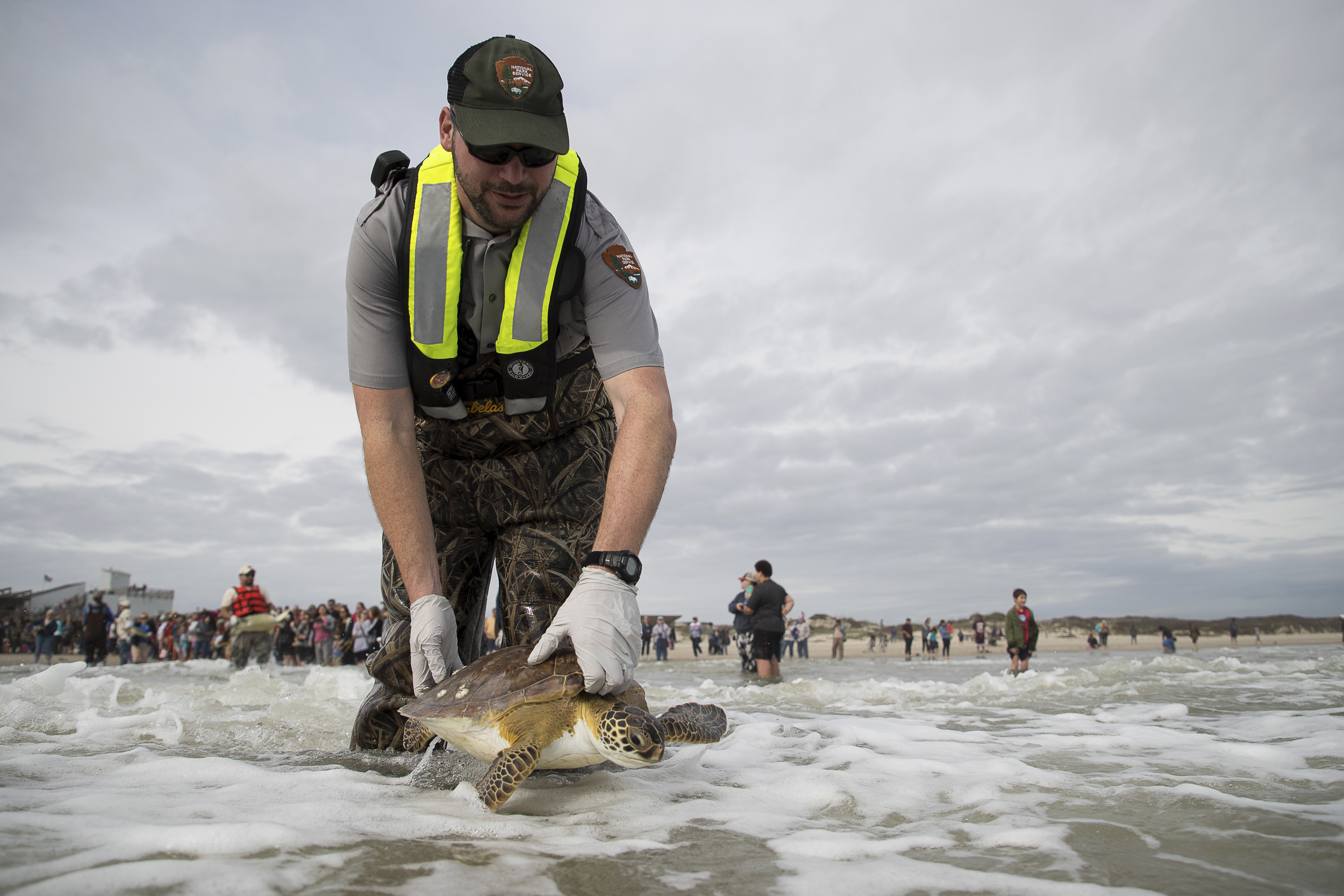 Nearly 400 cold-stunned turtles in Texas released into Gulf