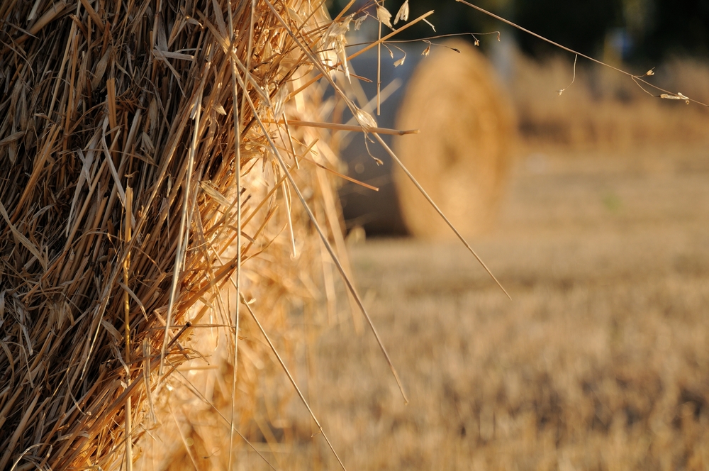 Southern Idaho man dies in hay bale accident
