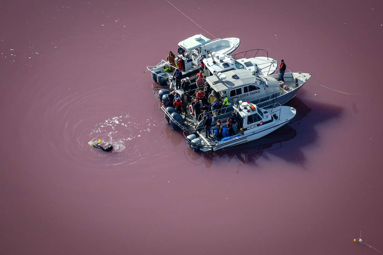 A diver on Saturday, Jan. 13, 2018, searches for an airplane that crashed into the Great Salt Lake near Promontory Point in Box Elder County last month. (Photo: Adam Fondren, KSL)