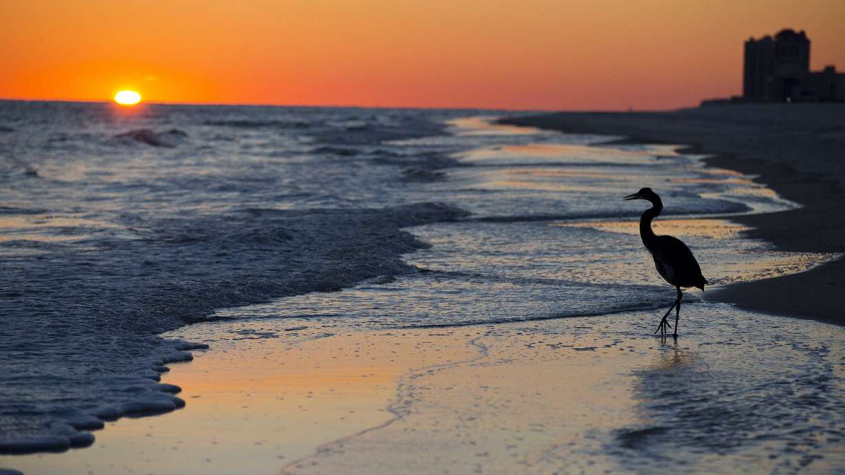 Got unused vacation days? Plan for Vacation Day is Jan. 30