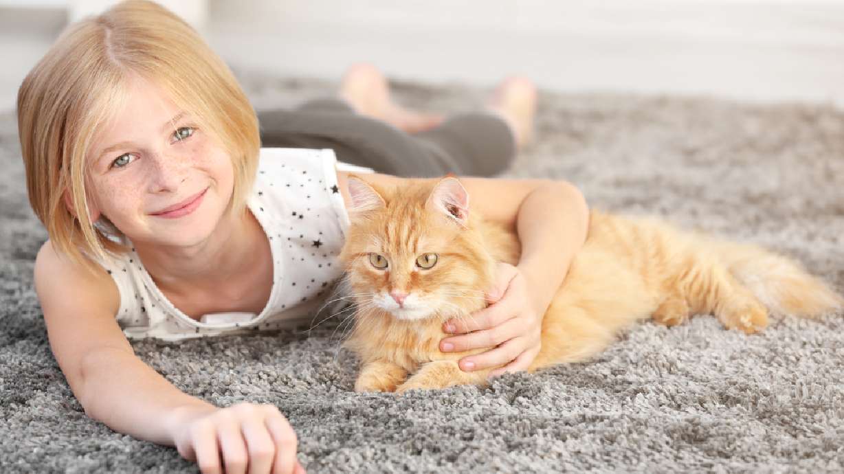 Pros and cons of 6 different flooring types