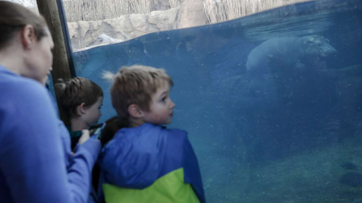 Hippo-y birthday to Fiona! The popular preemie is turning 1