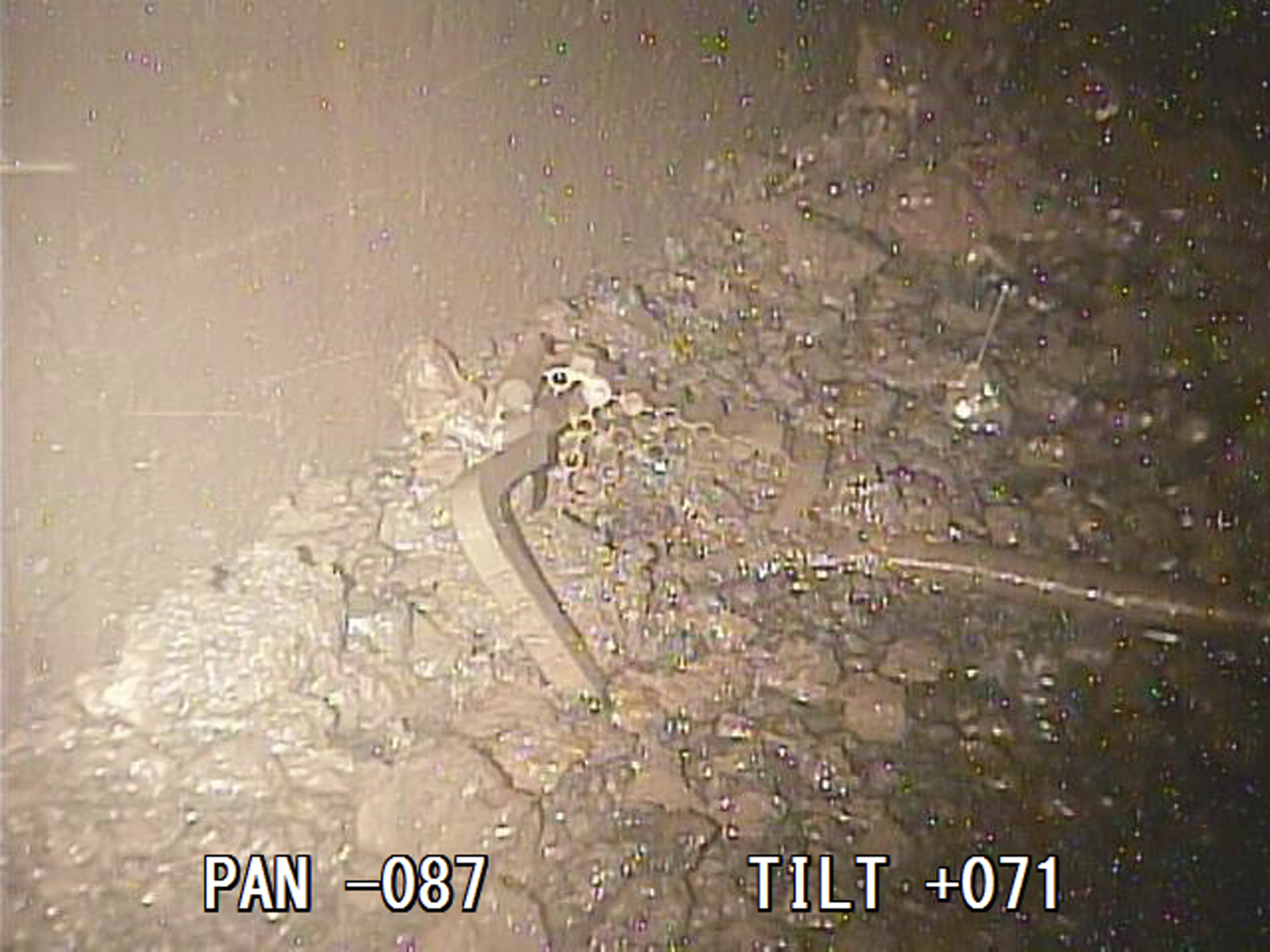 Melted nuclear fuel seen inside second Fukushima reactor