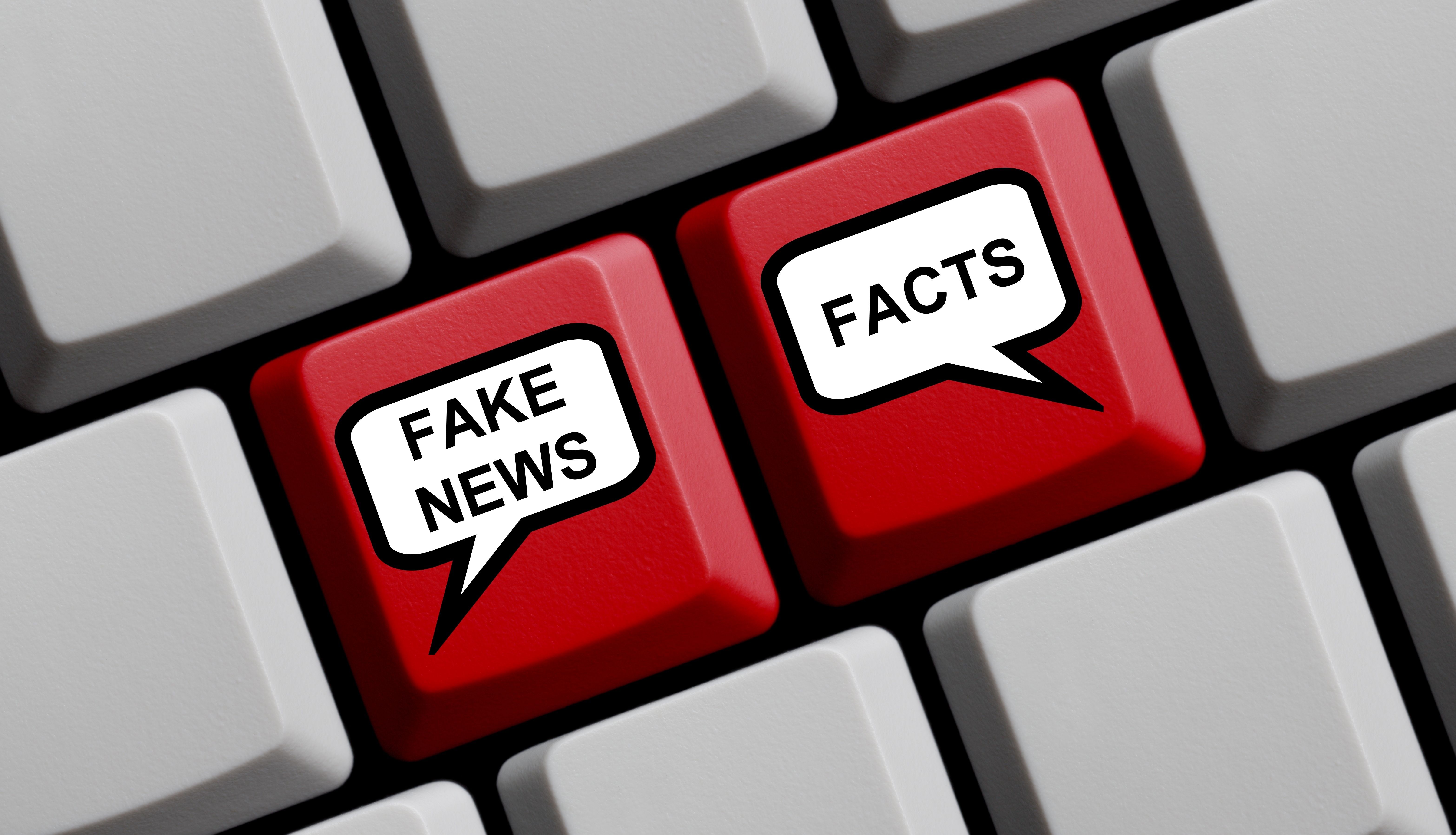 Quiz: Can you spot the fake news stories?