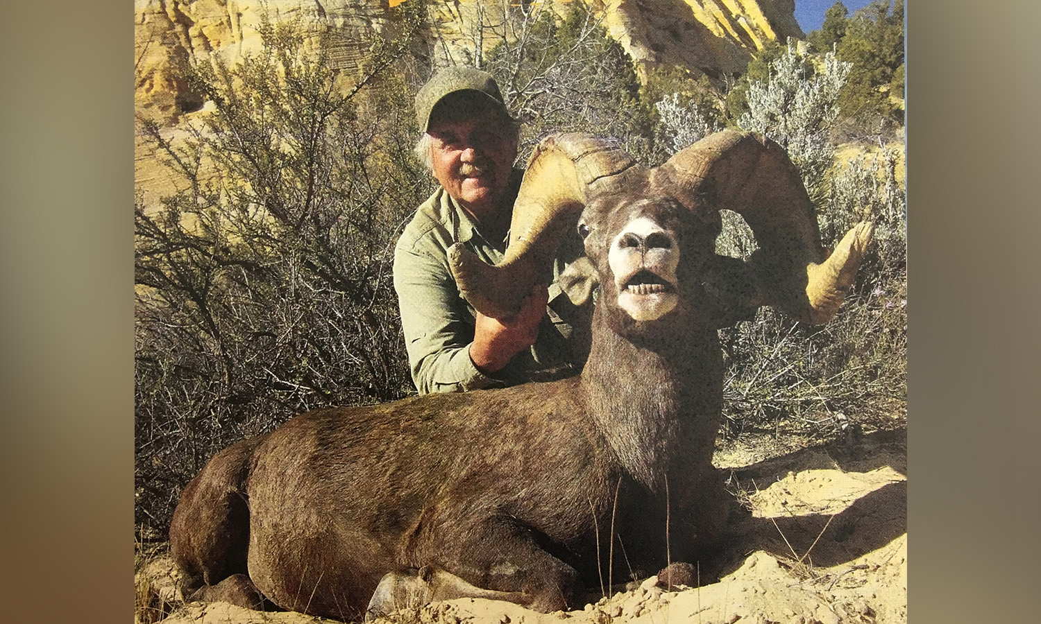 Arizona man loses hunting privilege for 10 years for illegally killing bighorn sheep