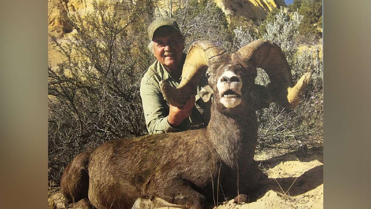 Arizona man loses hunting privilege for 10 years for illegally killing bighorn sheep