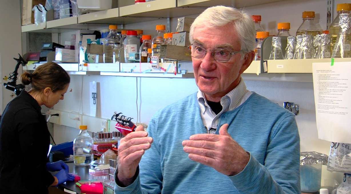 Scientists at the University of Utah are part of a worldwide effort to refine CRISPR technology. Using DNA taken from yeast, professor Dana Carroll's team can literally edit a gene. Caroll believes medical breakthroughs may be right around the corner. At the University of Utah, Wednesday, Nov. 8, 2017. (Photo: Eric Betts, KSL)