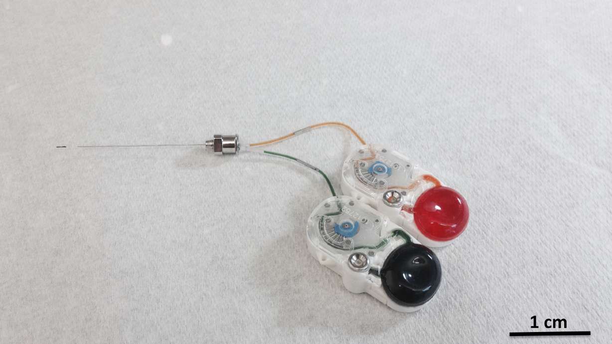 Tiny implant opens way to deliver drugs deep into the brain