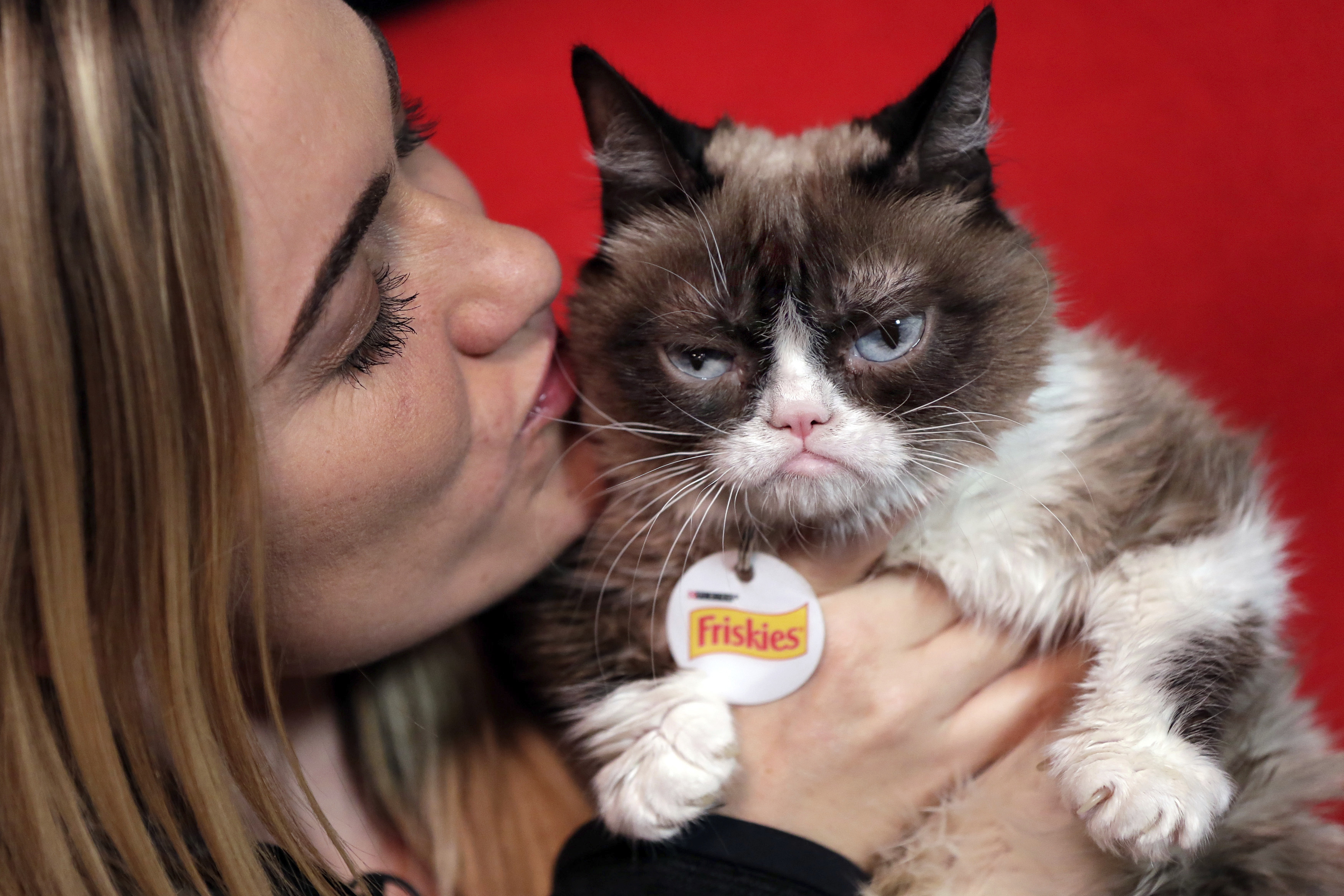 Grumpy Cat snatches lump of cash in California court
