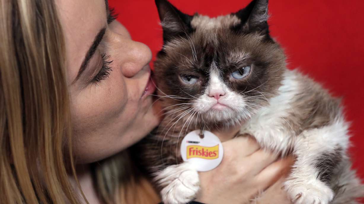 Grumpy Cat snatches lump of cash in California court