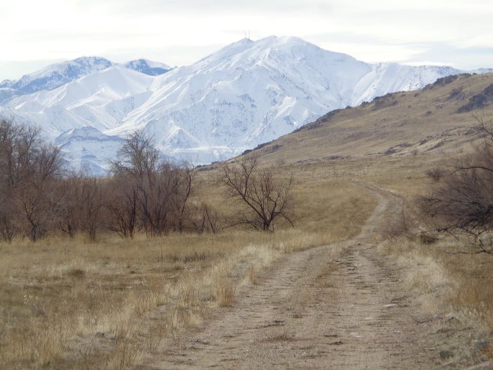 Get in hiking shape on Antelope Island's South Island Trail