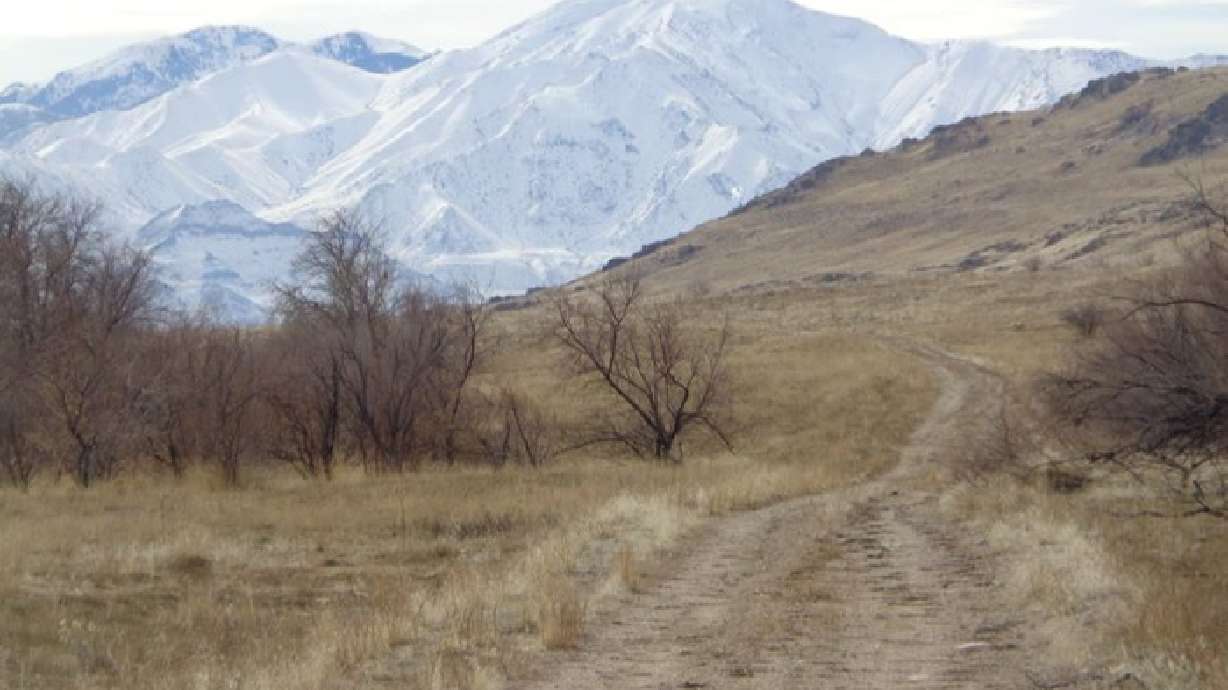 Get in hiking shape on Antelope Island's South Island Trail