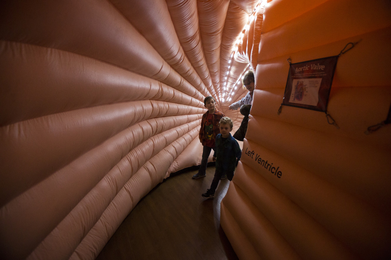Brothers Adam, 7, and Brewer Swartzfheer, 5, tour a mega heart, an inflatable version of the organ, with their grandmother, Connie Johnson, of Murray, during Heartbeat 2018, Intermountain Healthcare's Community Heart Fair in Murray on Saturday, Feb. 3, 2018. The event offered spectators a chance to learn about heart health, as well as take part in activities such as touring the inflatable heart, examining emergency vehicles and meeting with therapy animals. (Photo: Jacob Wiegand, KSL)