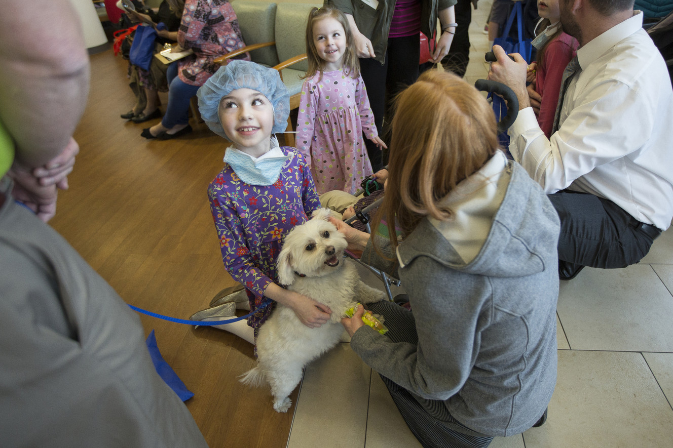 Sisters Lucy, 7, and Lily, 3, both of Idaho, met with Tulie, a therapy dog, next to their mother, Sarah, during Heartbeat 2018, Intermountain Healthcare's Community Heart Fair in Murray on Saturday, Feb. 3, 2018. The event offered spectators a chance to learn about heart health, as well as take part in activities such as touring the inflatable heart, examining emergency vehicles and meeting with therapy animals. (Photo: Jacob Wiegand, KSL)