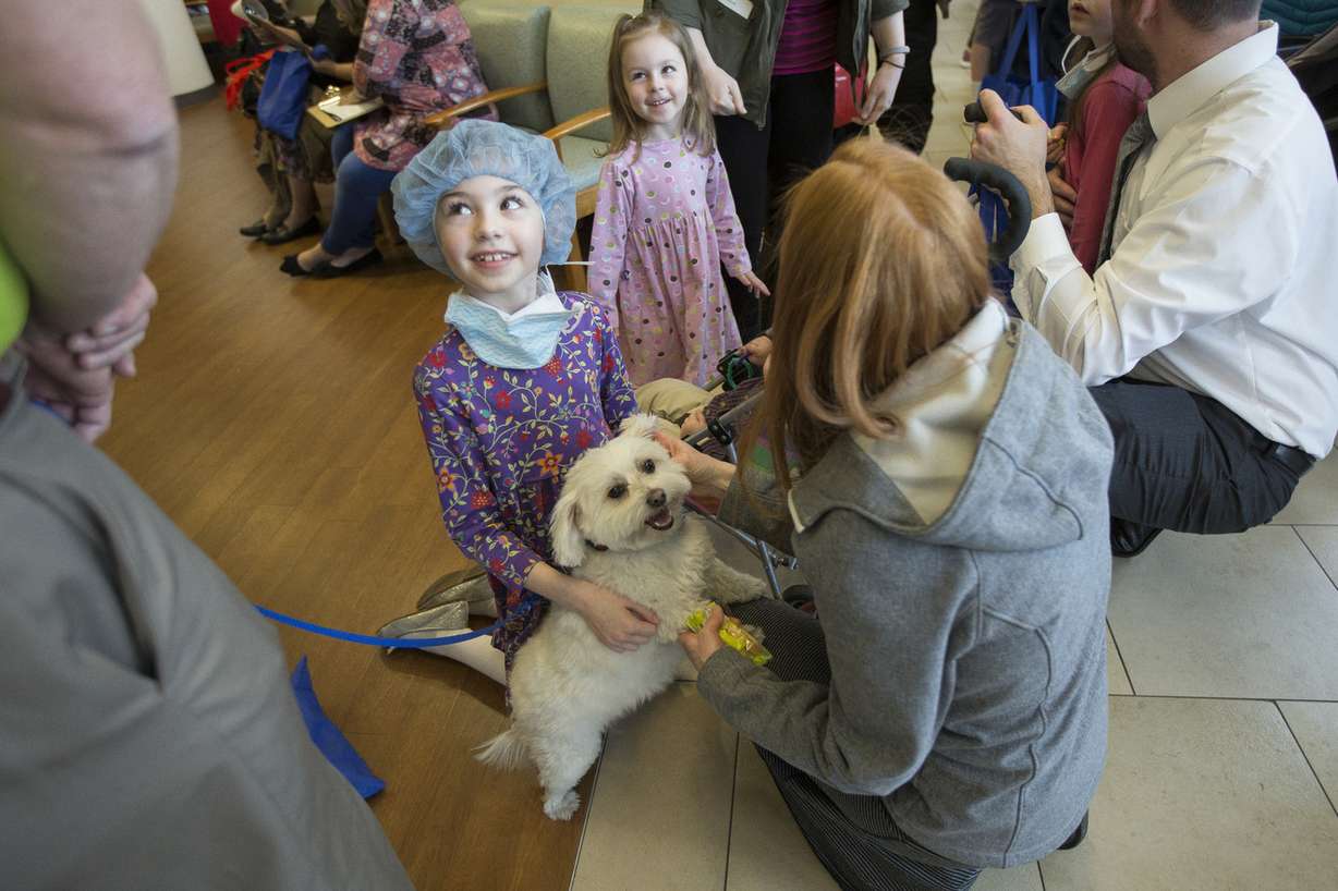 Sisters Lucy, 7, and Lily, 3, both of Idaho, met with Tulie, a therapy dog, next to their mother, Sarah, during Heartbeat 2018, Intermountain Healthcare's Community Heart Fair in Murray on Saturday, Feb. 3, 2018. The event offered spectators a chance to learn about heart health, as well as take part in activities such as touring the inflatable heart, examining emergency vehicles and meeting with therapy animals. (Photo: Jacob Wiegand, KSL)