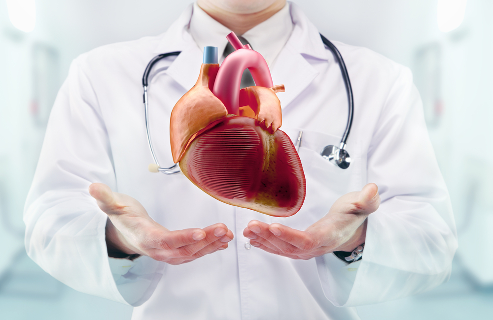 10 amazing facts about your heart