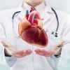 10 amazing facts about your heart