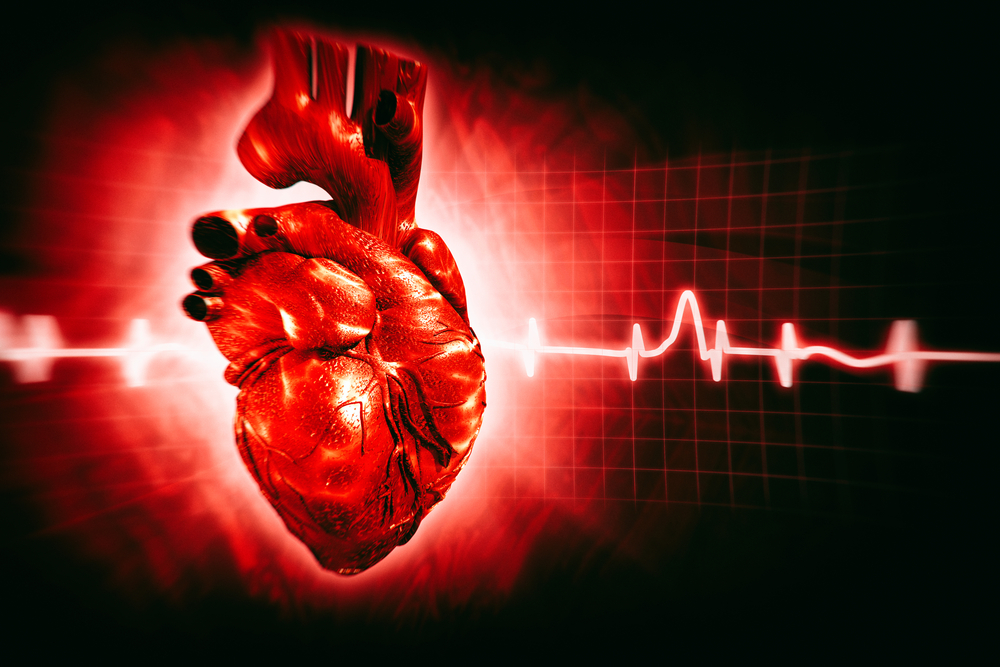 10 amazing facts about your heart