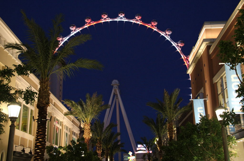The High Roller, the world's tallest observation wheel, in Las Vegas, Nevada. (Nate Stiller, Wikimedia Commons)