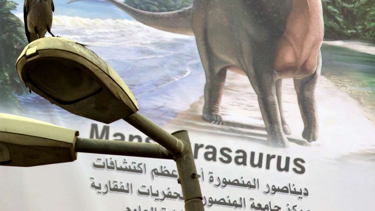 Rare dinosaur discovery in Egypt could signal more finds