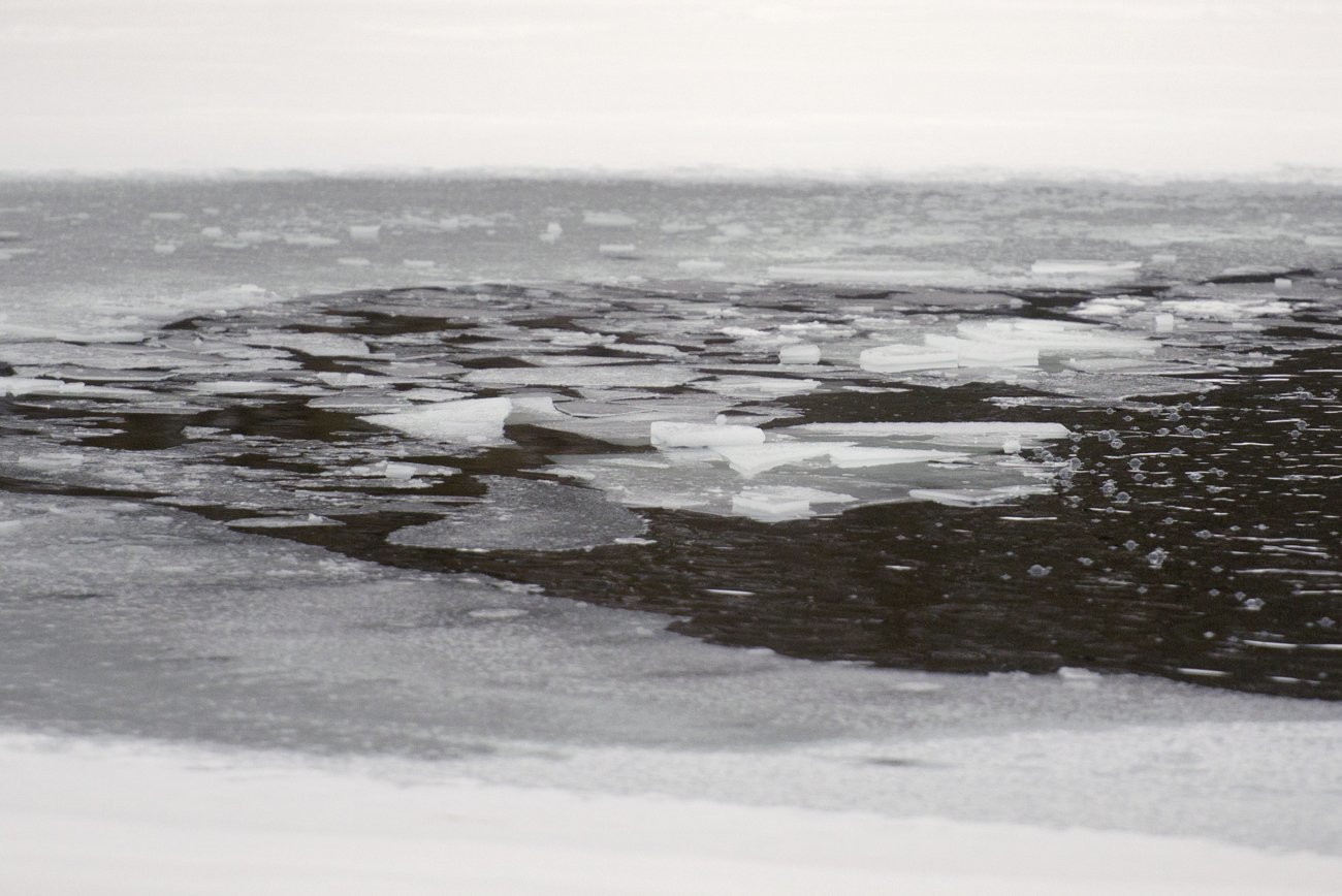 Former Marine saves mother, dog from freezing Michigan pond