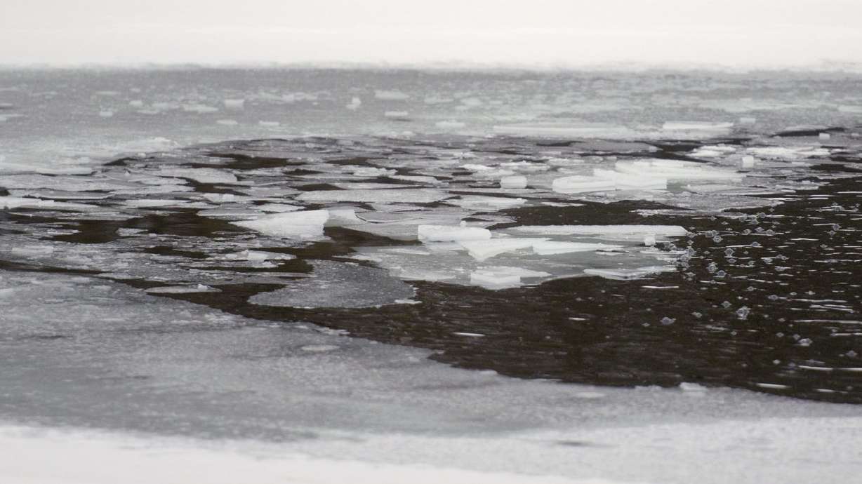 Former Marine saves mother, dog from freezing Michigan pond