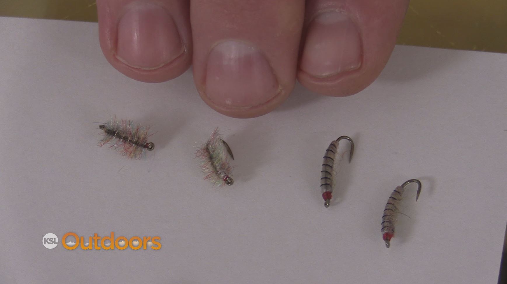 Fish Tech Fishing Tip: Using Scuds and Sow Bugs in Winter