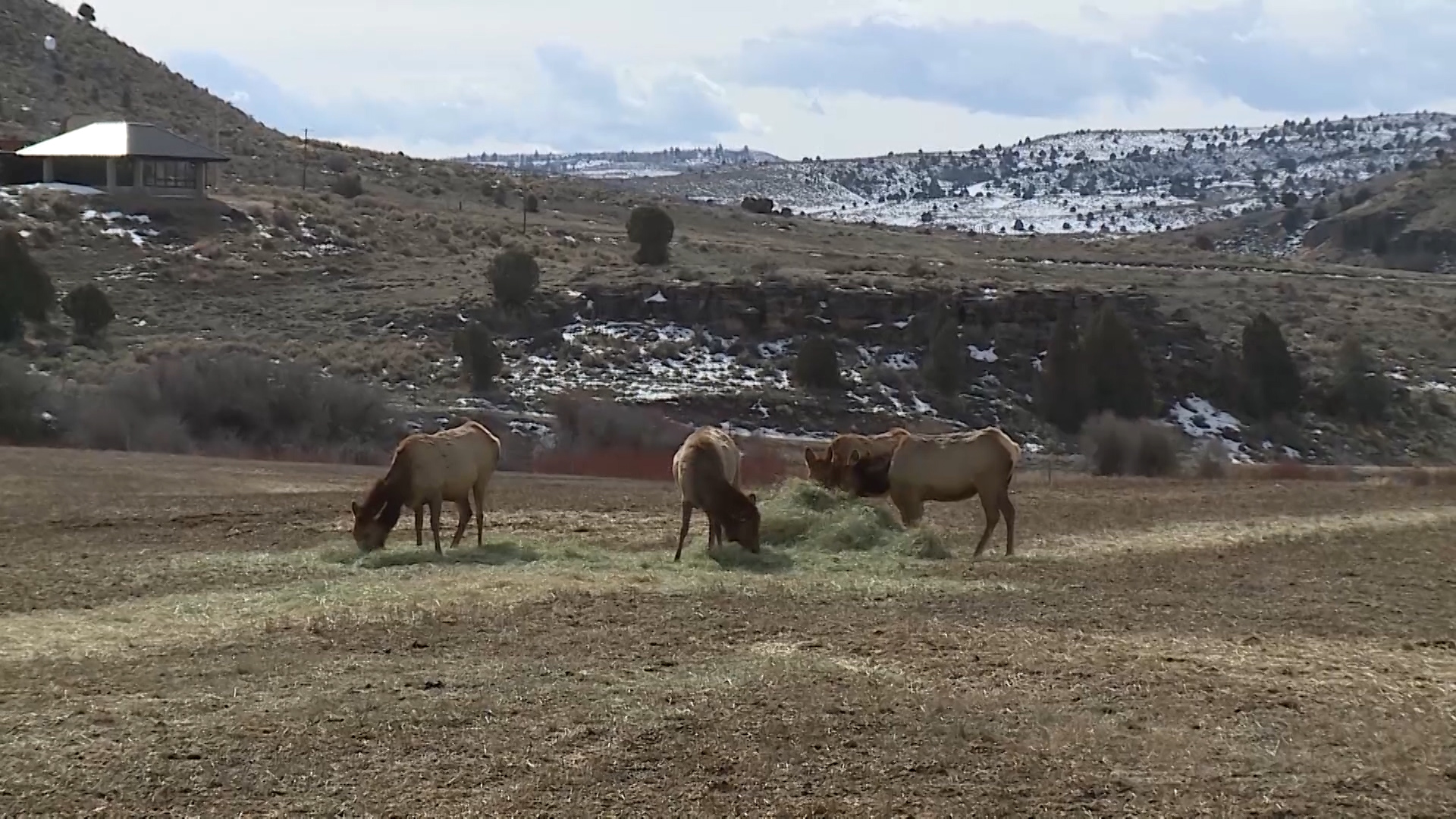 Mountain-man shooting event grows in northern Utah