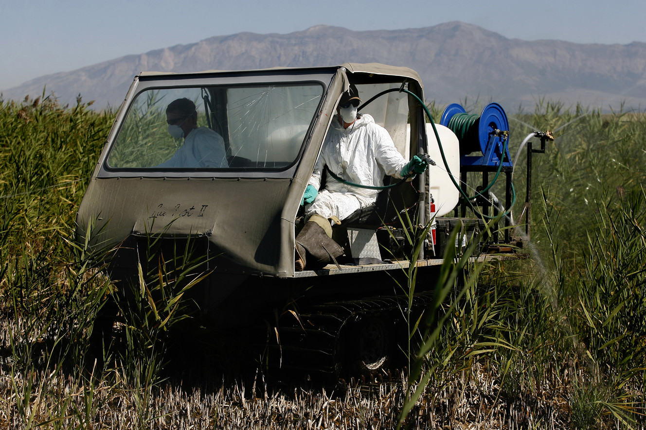 Utah Lake, wild horses, grazing, river dispute angle for lawmakers' attention