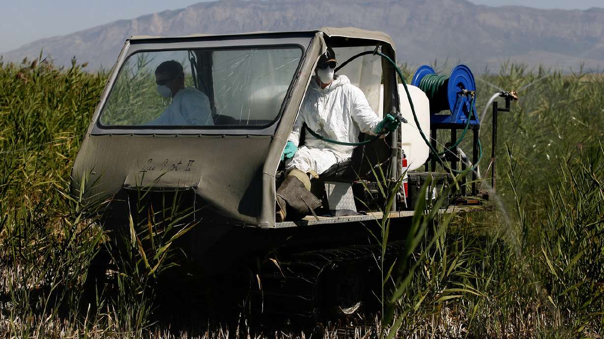Utah Lake, wild horses, grazing, river dispute angle for lawmakers' attention